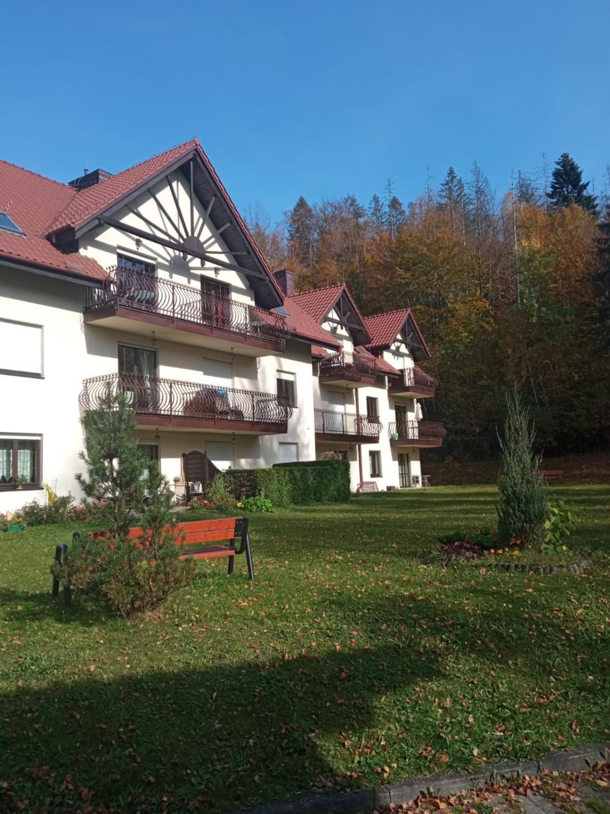Belweder Apartamenty I Pokoje Wisła Exterior foto